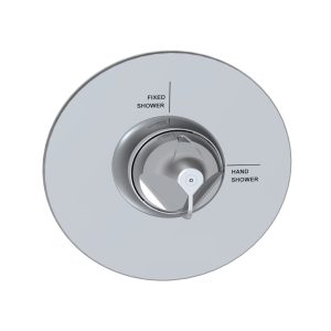 Diverter Assembly with Assisted Paddle